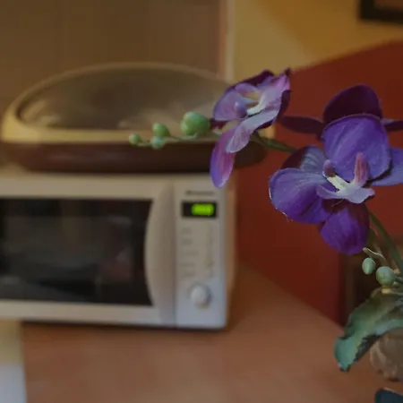 ホステル チルアウト リヤ ＆ ラウンジ